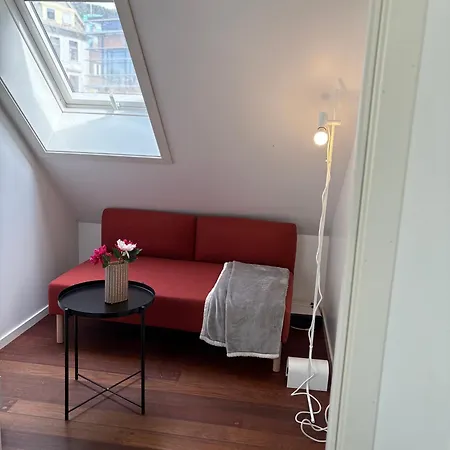 In The Middle Of In A Real Bergenshus From The 18th Century Apartman